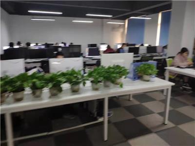 重慶企業(yè)軟件開(kāi)發(fā)與保健項(xiàng)目合作 價(jià)格策略與批發(fā)模式探討