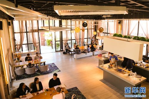 滇西新景致 保山咖啡莊園創(chuàng)新模式，引領(lǐng)農(nóng)文旅融合新浪潮